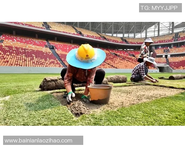 天然草足球场翻新项目全面升级提升运动体验与场地质量