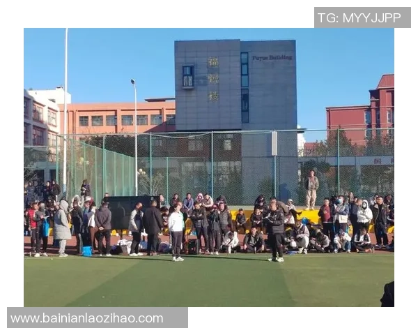 广州羽毛球队战术解析：从训练到比赛的全面探讨与实践分享