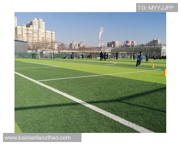 温馨足球：在绿茵场上播撒友谊与爱的种子，共享快乐与团结的美好时光