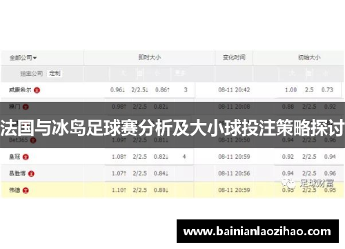 法国与冰岛足球赛分析及大小球投注策略探讨